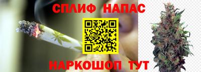 PSILOCYBIN Новозыбков