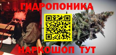 PSILOCYBIN Новозыбков